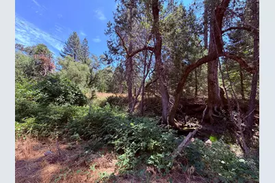 7836 Mount Aukum Road, Somerset, CA 95684 - Photo 11