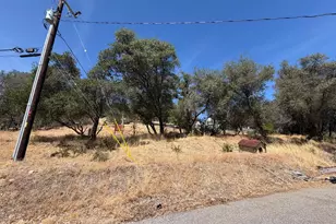 3945 Dawn Dr, Loomis, CA 95650 - Photo 63