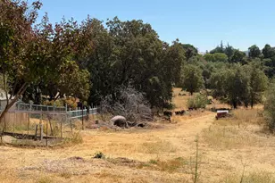 3945 Dawn Dr, Loomis, CA 95650 - Photo 65