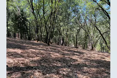 33 Nugget Drive, Foresthill, CA 95631 - Photo 7