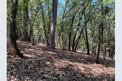 33 Nugget Drive, Foresthill, CA 95631 - Photo 9