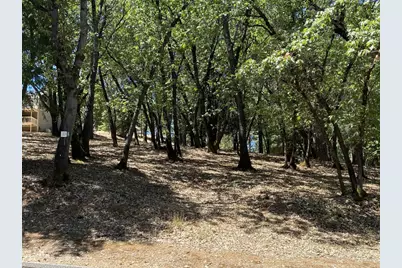 33 Nugget Drive, Foresthill, CA 95631 - Photo 3