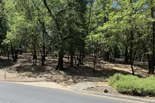 33 Nugget Dr, Foresthill, CA 95631 - Photo 1