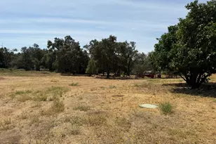 3975 Dawn Dr, Loomis, CA 95650 - Photo 29