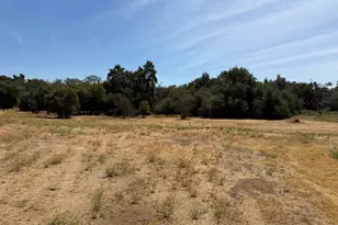 3975 Dawn Dr, Loomis, CA 95650 - Photo 5