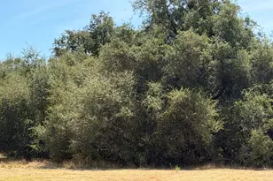 3975 Dawn Dr, Loomis, CA 95650 - Photo 33