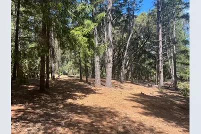 4415 Santa Croce Court, Foresthill, CA 95631 - Photo 3