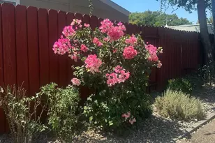 Kenmore Ln, Sacramento, CA 95823 - Photo 25