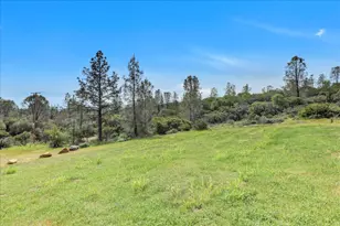 13886 Meadow Valley Rd, Dobbins, CA 95962 - Photo 87