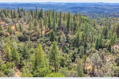 5181 Faraway Road, Greenwood, CA 95635 - Photo 7