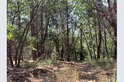 10 Meyers Road, Camino, CA 95709 - Photo 11
