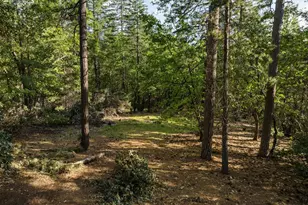6221 Pine Needle Ln, Placerville, CA 95667 - Photo 35