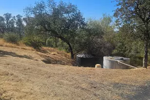 6102 Old Olive, Oroville, CA 95966 - Photo 55