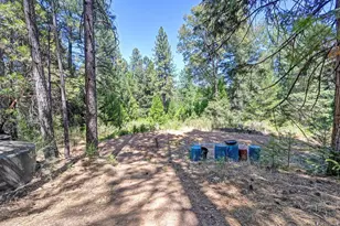 6221 State Hwy 193, Georgetown, CA 95634 - Photo 43