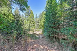 6221 State Hwy 193, Georgetown, CA 95634 - Photo 57