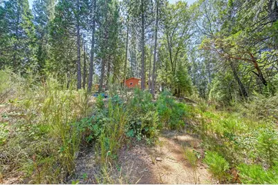 6221 State Highway 193, Georgetown, CA 95634 - Photo 61