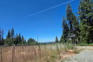 23133 Back Bone Pl, Nevada City, CA 95959 - Photo 27