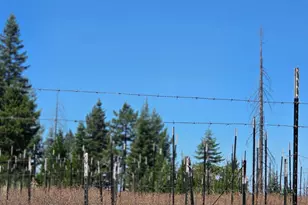23133 Back Bone Pl, Nevada City, CA 95959 - Photo 31