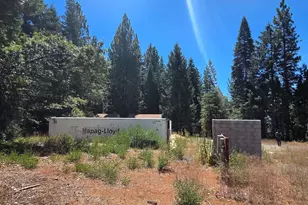 23133 Back Bone Pl, Nevada City, CA 95959 - Photo 25