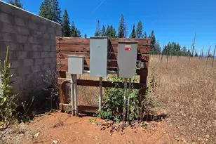 23133 Back Bone Pl, Nevada City, CA 95959 - Photo 19
