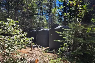 23133 Back Bone Pl, Nevada City, CA 95959 - Photo 5