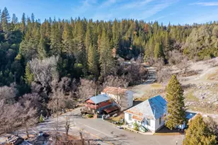 21335 Consolation St, Volcano, CA 95689 - Photo 41