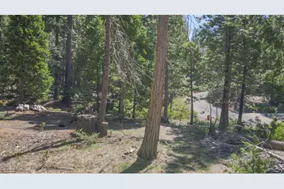 403 Sierra Parkway, Camp Connell, CA 95223 - Photo 5