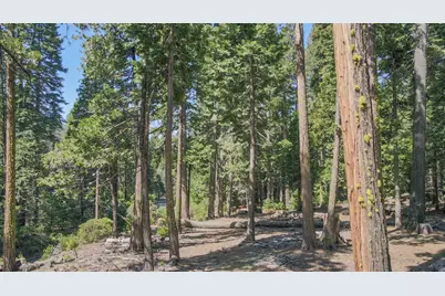 403 Sierra Parkway, Camp Connell, CA 95223 - Photo 3
