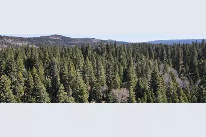 403 Sierra Parkway, Camp Connell, CA 95223 - Photo 9