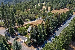 23821 Pine Ridge Rd, Pioneer, CA 95666 - Photo 55