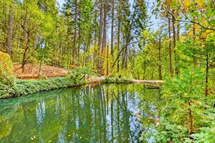 12213 Half Moon Way, Nevada City, CA 95959 - Photo 3