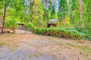 12213 Half Moon Way, Nevada City, CA 95959 - Photo 91