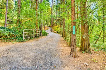 12213 Half Moon Way, Nevada City, CA 95959 - Photo 65