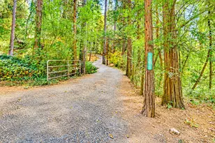 12213 Half Moon Way, Nevada City, CA 95959 - Photo 65
