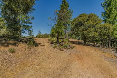 20117 Neilson Road, Pine Grove, CA 95665 - Photo 9
