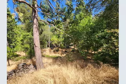 2406 Anglers Court, Mariposa, CA 95338 - Photo 49