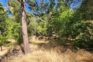 2406 Anglers Ct, Mariposa, CA 95338 - Photo 49