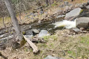2406 Anglers Ct, Mariposa, CA 95338 - Photo 3