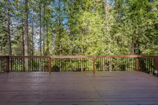 26005 Sugar Pine Dr, Pioneer, CA 95666 - Photo 69