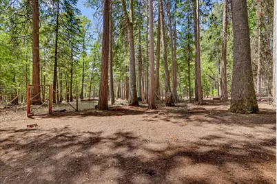 13429 Red Dog Road, Nevada City, CA 95959 - Photo 69