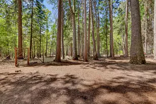 13429 Red Dog Rd, Nevada City, CA 95959 - Photo 69