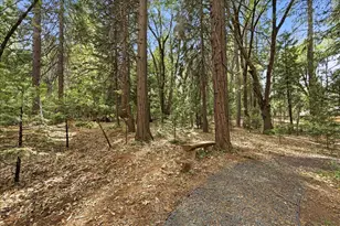 13195 Woodstock Dr, Nevada City, CA 95959 - Photo 67