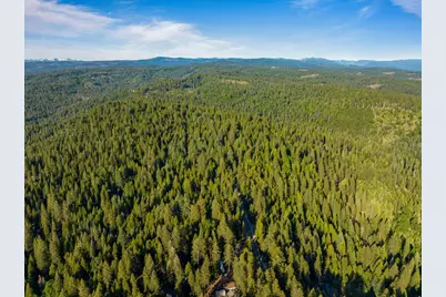28355 Hwy 88, Pioneer, CA 95666 - Photo 41