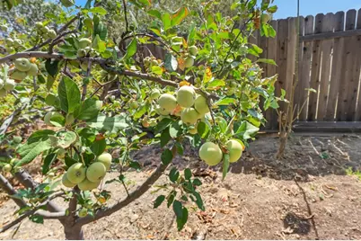 4061 Zumi Court, Ione, CA 95640 - Photo 43