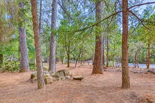 15914 Brooks Rd, Grass Valley, CA 95945 - Photo 39