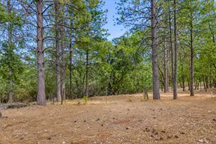 15914 Brooks Rd, Grass Valley, CA 95945 - Photo 73