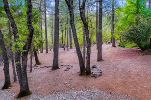15914 Brooks Rd, Grass Valley, CA 95945 - Photo 59