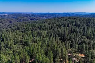 15914 Brooks Rd, Grass Valley, CA 95945 - Photo 51