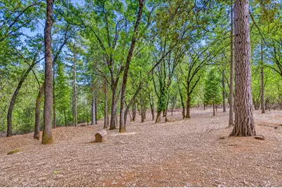 15914 Brooks Road, Grass Valley, CA 95945 - Photo 75