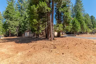 26299 Sugar Pine Dr, Pioneer, CA 95666 - Photo 41